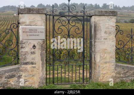 Puligny-Montrachet, Borgogna, Francia - 18th ottobre 2021 - il famoso vigneto le Montrachet nella zona di Puligny-Montrachet nella regione di Foto Stock