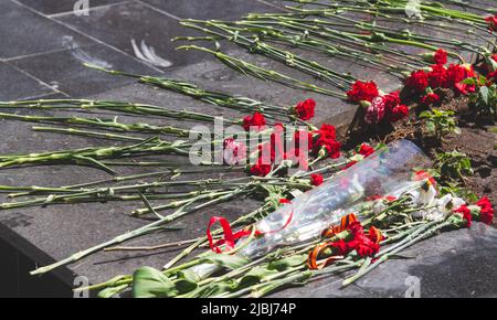 Memoriale commemorativo. Posa dei fiori al fuoco eterno. Foto Stock