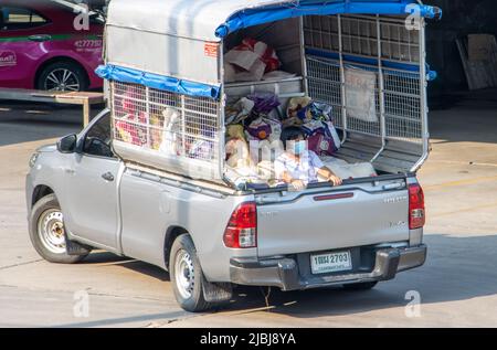 SAMUT PRAKAN, THAILANDIA, 28 2022 FEBBRAIO, Una bambina di scuola in uniforme giri in un pick-up carico di sacchi Foto Stock