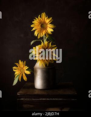 girasole fotografia di vita con vecchio cun ont top di samll tavola di legno Foto Stock