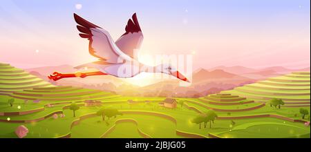 Cicogna bianca che vola in cielo al tramonto o all'alba. Bellissimo uccello selvatico su paesaggio naturale con risaie terrazze asiatiche in montagna. Scenario estate fauna selvatica sfondo, Cartoon Vector illustrazione Illustrazione Vettoriale