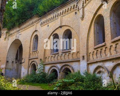 Fortezza abbandonata fuori, rovinata cittadella boscosa Tarakaniv, Ucraina Foto Stock