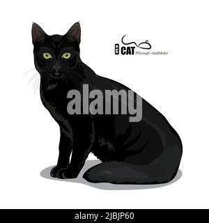 Gatto nero con gli occhi verdi Illustrazione Vettoriale