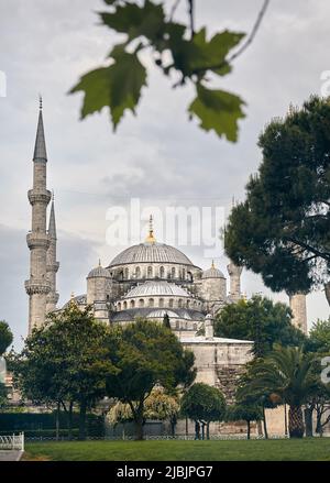 Hagia Sophia Ayasofya famoso punto di riferimento vista dal Sultan Ahmet Park con albero verde a Istanbul, Turchia. Foto Stock