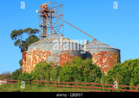 Un gruppo di vecchi silos di grano arrugginito nel sito di una fabbrica abbandonata Foto Stock