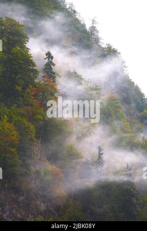 Montagne nelle alpi con nuvoloso collina, alberi, nebbia e rocce. Foto Stock