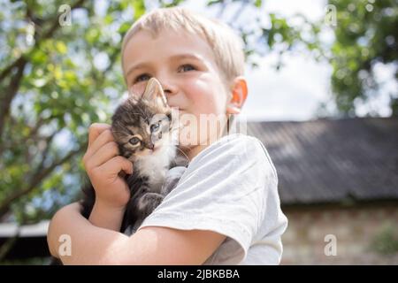 il ragazzo tiene con cura nelle sue mani un bel cucciolo, un po' amato, gattino. cat day. Buona infanzia. Concentratevi sulla faccia del gatto Foto Stock