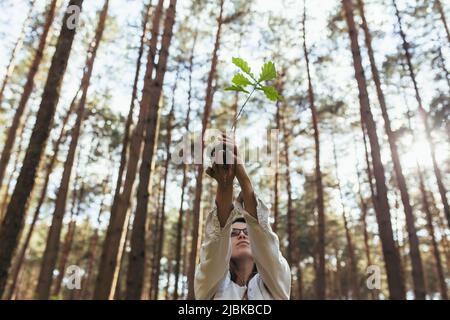 Giovane femmina volontario pianta una foresta, tenendo un albero di quercia piantare nelle sue mani Foto Stock