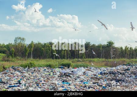 Grande discarica di rifiuti sullo sfondo della foresta, la discarica inquina l'ambiente Foto Stock