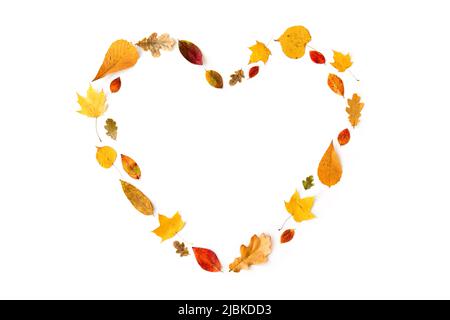 Asciugare caduto foglie di autunno in forma di cuore Foto Stock