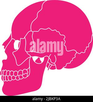 Anatomia del cranio umano rosa. Illustrazione vettoriale della silhouette Illustrazione Vettoriale