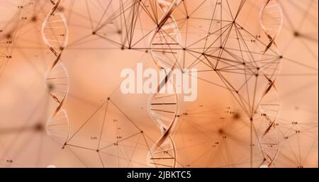 Immagine di filamenti di dna su rete di connessioni su sfondo rosa Foto Stock