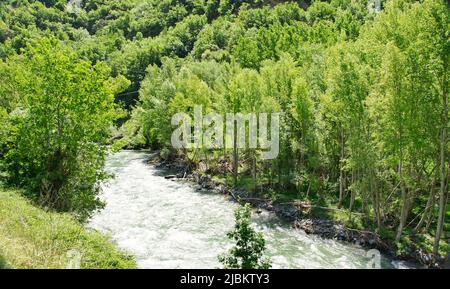 Noguera Pallaresa come passa attraverso Sort, Lleida, Catalogna, Spagna, Europa Foto Stock