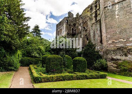 Castello gotico medievale a Newark on Trent, vicino a Nottingham, Nottinghamshire, Inghilterra, Regno Unito. Foto Stock