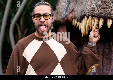 Hollywood, Stati Uniti. 06th giugno 2022. HOLLYWOOD, LOS ANGELES, CALIFORNIA, USA - 06 GIUGNO: Il musicista americano Pete Wentz arriva al "Jurassic World Dominion" di Los Angeles Premiere of Universal Pictures, tenuto presso il TCL Chinese Theatre IMAX il 6 giugno 2022 a Hollywood, Los Angeles, California, Stati Uniti. (Foto di Xavier Collin/Image Press Agency) Credit: Image Press Agency/Alamy Live News Foto Stock