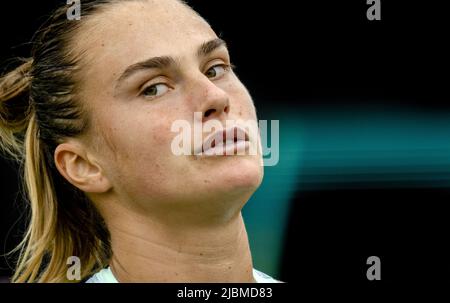 ROSMALEN - la stella del tennis Aryna Sabalenka in azione al torneo internazionale di tennis Libema Open. Il torneo di tennis olandese combinato per uomini e donne si terrà sui campi in erba di Autotron per dodici giorni. LEVIGATRICE ANP KING Foto Stock