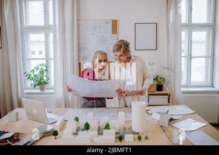 Le donne mature eco architetti con modello di moderni bulidings e progetti che lavorano insieme in ufficio. Foto Stock