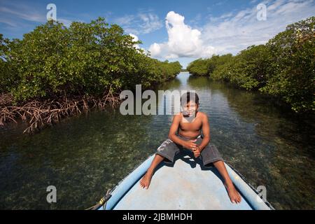 Panama, Archipielago de Bocas del Toro, la maggior parte delle isole dell'archipello sono circondate da cespugli di mangrovie. Foto Stock