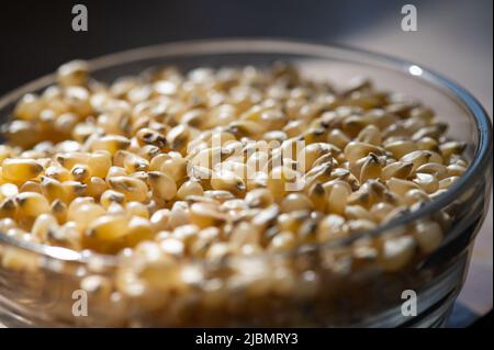 Chicchi di popcorn gialli in una ciotola di vetro su un banco da cucina Foto Stock