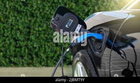 Primo piano dell'auto elettrica con un cavo di ricarica collegato Foto Stock
