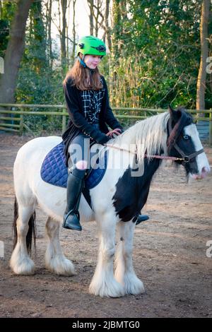 Una ragazza adolescente seduta su e cavalcando un cavallo piebald gitana bob bozza cavallo pony Foto Stock