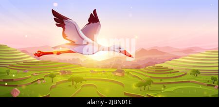 Cicogna bianca che vola in cielo al tramonto o all'alba. Bellissimo uccello selvatico su paesaggio naturale con risaie terrazze asiatiche in montagna. Paesaggio estate Illustrazione Vettoriale