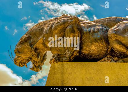 Carolina Panthers B di Uno Stadio statua di ingresso del logo della loro squadra contro un cielo blu con nuvole luminose, ruggente mentre accoccolato su piedistallo. Foto Stock