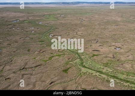 Veduta aerea di Llanrhidian Saltmarsh, Burry Inlet, South Wales, UK Foto Stock