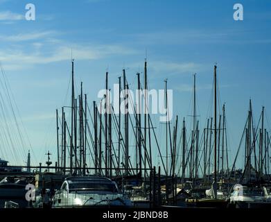 Cannes Provenza Francia 02-23-2022 Foresta di pali e alberi di barche ormeggiate nel porto turistico di Cannes in una mattinata di sole con un cielo blu vivo Foto Stock