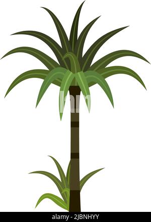 Pianta verde esotica. Albero tropicale. Palma della giungla Illustrazione Vettoriale