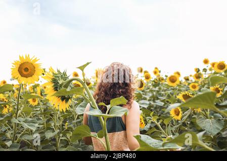 Vista posteriore della ragazza curly in campo di girasole. Donna cammina a piedi, tra fiori dorati e gialli. Semi sono cresciuti per consumo umano o per produzione di petrolio. Non come tutti gli altri. Messa a fuoco selettiva soft Foto Stock