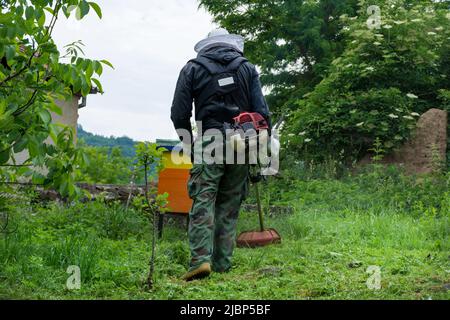 L'apicoltore in una tuta da lavoro protettiva taglia l'erba alta con le mani il trimmer a benzina intorno agli alveari delle api in una giornata estiva in giardino Foto Stock