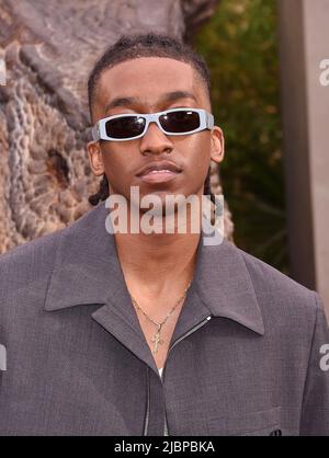 HOLLYWOOD, CA - GIUGNO 06: Terance Mann partecipa alla prima di Los Angeles di Universal Pictures' 'Jurassic World Dominion' al TCL Chinese Theater ON Foto Stock