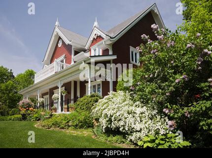 Borgogna con finiture bianche Casa vittoriana stile cottage delimitato da Spiraea x vanhouttei 'Van Houtte' - Spirea, Syringa vulgaris - Lilac albero in primavera. Foto Stock