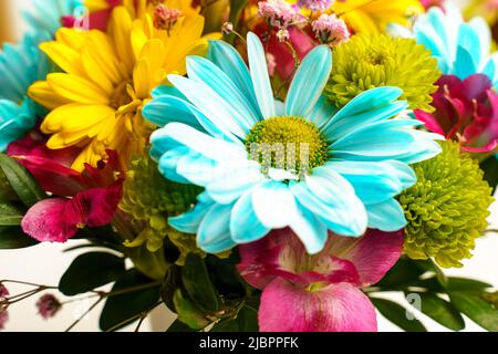 Delicato bouquet di crisantemi gialli e blu su un tavolo bianco vicino alla finestra. Foto Stock