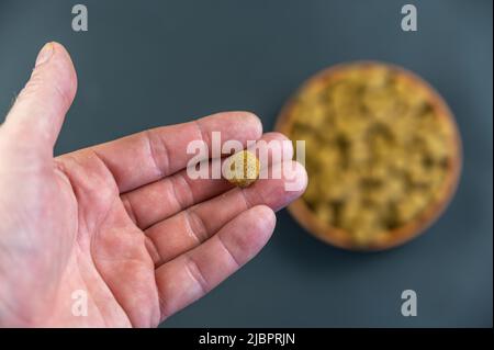 Un pellet di cibo secco per cani anziani si trova nel palmo della mano di un uomo. Il maschio adulto tiene il pellet in una forma rotonda. Una ciotola è piena di fo Foto Stock