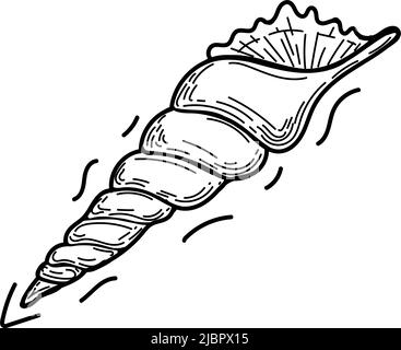 Seashell, un doodle disegnato a mano in stile schizzo. Elementi decorativi. Sfondo bianco. Isolato. Creature marine. Estate. Oceano. Design piatto. Vettore semplice illust Illustrazione Vettoriale