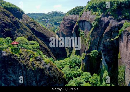 (220608) -- WUYISHAN, 8 giugno 2022 (Xinhua) -- Foto aerea scattata il 6 giugno 2022 mostra lo scenario del Monte Wuyi nella provincia sud-orientale del Fujian. Il monte Wuyi, situato nella provincia sud-orientale cinese di Fujian, è un paesaggio di grande bellezza, in cui le cime e le rocce dalle forme grottesche sono cinte da ruscelli trasparenti e abbracciate da alberi verdi e piante di bambù. Fungendo da habitat per un gran numero di animali selvatici, è di enorme importanza per la conservazione della biodiversità. Sul Monte Wuyi si trovano una serie di siti archeologici eccezionali, tra cui i resti dell'antica dinastia Han ( Foto Stock