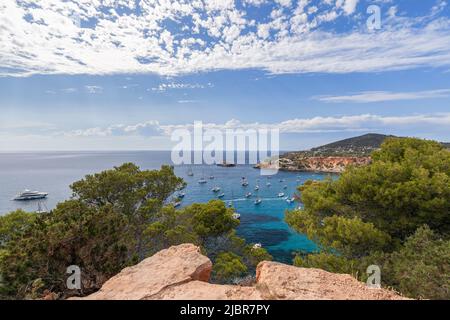 Vista della baia Cola d'Hort, alberi di pino verde e molti yacht di diverse dimensioni sulla superficie del mare sotto il cielo. Ibiza, Isole Baleari, Spagna Foto Stock