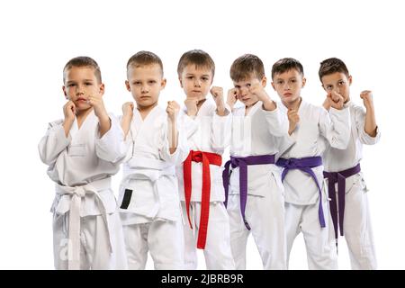 Gruppo di bambini felici, combattenti per il karate principiante in picchietti bianchi che si ergono insieme isolati su sfondo bianco. Concetto di sport, arti marziali Foto Stock