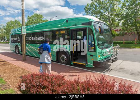 Detroit, Michigan - il Detroit Department of Transportation ha aggiunto quattro autobus elettrici alla sua flotta. Gli autobus sono stati fatti da Proterra, una California Foto Stock