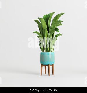 3d illustrazione di houseplant incapsulato isolato su sfondo bianco Foto Stock