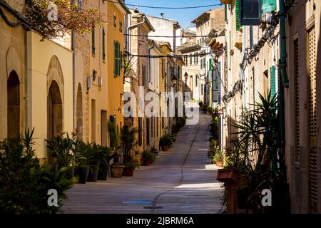 Fotografia del vicolo stretto e pulito Carrer de la Roca fiancheggiato da piante in salita nella zona residenziale del centro storico di Alcúdia con facciate illuminate dal sole. Foto Stock