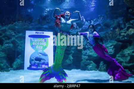 Kuala Lumpur, Malesia. 08th giugno 2022. I subacquei vestiti come sirene si esibiscono nell'acquario principale di Aquaria KLCC in occasione della Giornata Mondiale dell'Oceano a Kuala Lumpur. Credit: SOPA Images Limited/Alamy Live News Foto Stock