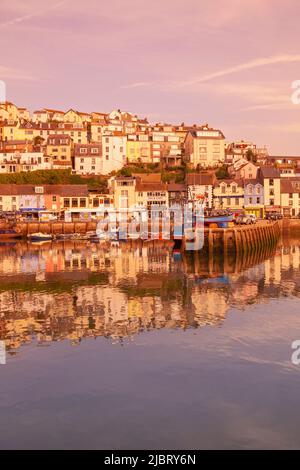 Regno Unito, Inghilterra, Devon, Torbay, Brixham Harbour con il Quay a Dawn Foto Stock