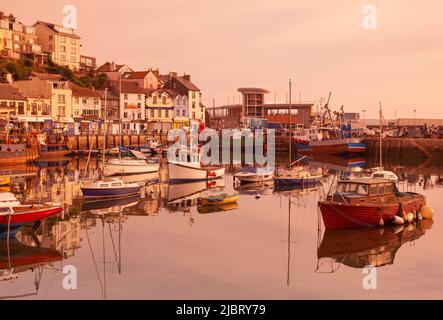 Regno Unito, Inghilterra, Devon, Torbay, Brixham Harbour a Dawn guardando verso New Pier Foto Stock