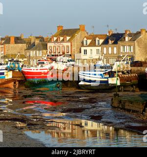 Francia, Manica, Cotentin, Barfleur, etichettato Les Plus Beaux Villages de France (i più bei villaggi di Francia), pesca e porto di bapaching Foto Stock