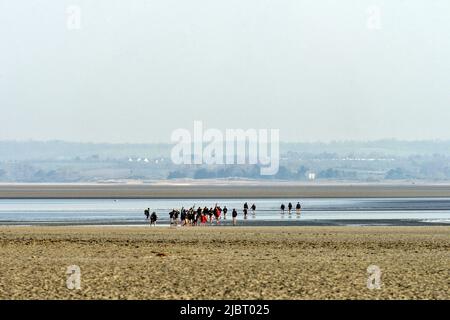 Francia, Manica, baia di Mont Saint Michel elencato come Patrimonio Mondiale dell'UNESCO, Mont Saint Michel, Gruppo che attraversa la baia di Mont-Saint-Michel Foto Stock