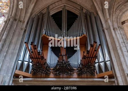 Francia, Yonne (89), Auxerre, cathédrale Saint-Etienne, nave, organo Foto Stock