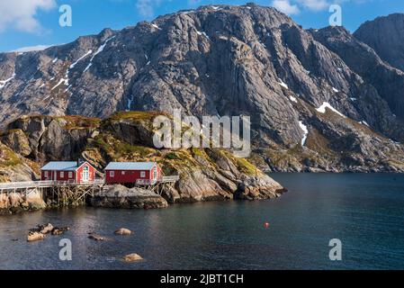 Norvegia, Nordland County, Isole Lofoten, Nusfjord, Porto Foto Stock